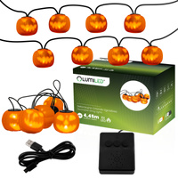 Baterie Garland 8xLED Dekorativní dýně 4.45m Halloweenská světla + USB C