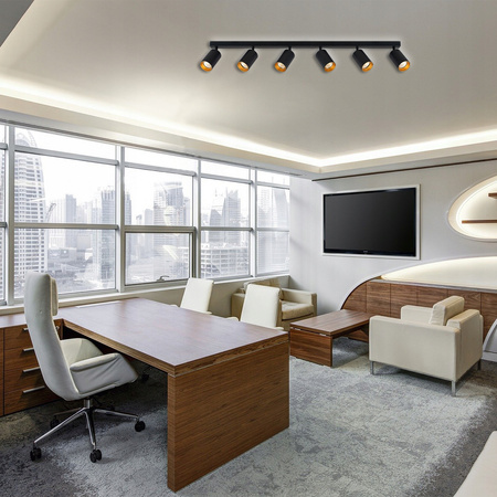 Stropní svítidlo ERIS SPOT Reflektor Halogenové svítidlo 6xGU10 Černá a zlatá