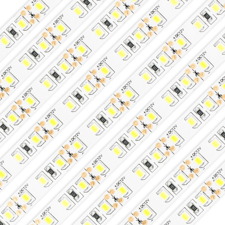 LED pásek 12V, 48W 600LED 2835 Studená bílá 8mm 5m LUMILED