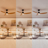 Stropní ventilátor 32W LED stropní svítidlo 24W 2650lm 3000/4300/6500K CCT Black Brown + Pilot Olas Philips