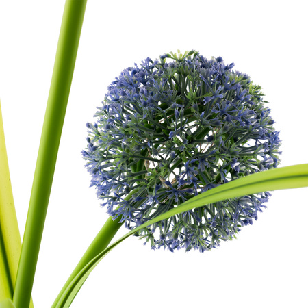 Solární zahradní lampa LED PILUS RGB Driven Dekorativní květina česnek LUMILED