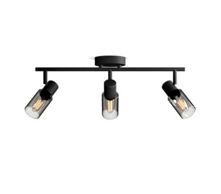 Reflektorové stropní svítidlo 3x E14 Black Palms Philips