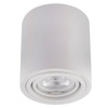 Přisazené svítidlo HALOGEN Aluminium White SPOT TUBE 10cm pro LED GU10 Bellalux