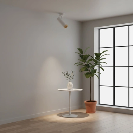 Nástěnné a stropní svítidlo Bodové světlo GU10 White Gold FADO Sanico Goldlux