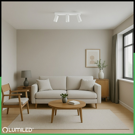 Stropní svítidlo SPOT TUBA Reflektor Halogenové svítidlo 3x GU10 TABULA LUMILED