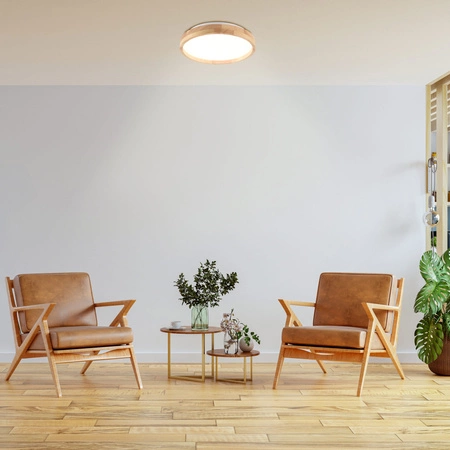 Plafond LED stropní svítidlo 12W 1400lm 4000K neutrální 120° bílá hnědá IP44 Janusz Sanico Goldlux