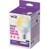 LED žárovka E27 Sphere G95 11W = 75W 1055lm 2700-6500K TW Smart SMART WiFi Bluetooth App WiZ