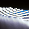 LED pásek COB, 12V 50W 1920LED NEON IP65 Studená bílá 8mm 5m LUMILED