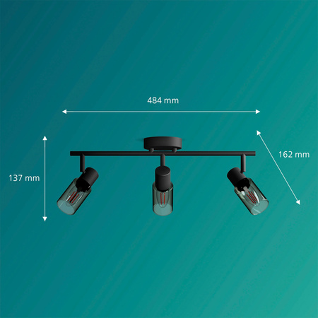 Reflektorové stropní svítidlo 3x E14 Black Palms Philips