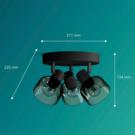 Stropní světlo Reflektor Plafond 3x E14 LED Black Sleet Philips