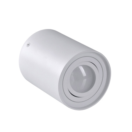 Stropní přisazené svítidlo HADAR R1 1xGU10 Movable Round White