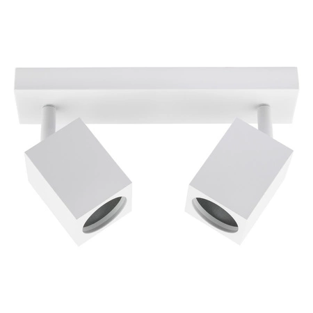 Stropní reflektorové nástěnné svítidlo 2xGU10 QUANTUS White