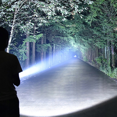 Gumová LED svítilna Ruční taktická baterie 2xAA 100lm DURACELL