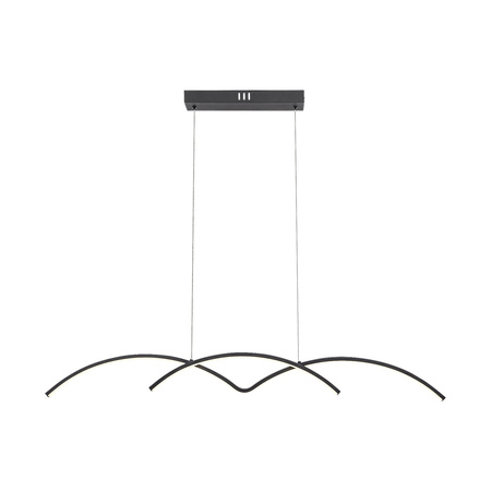 Stropní závěsné svítidlo 40W Black Modern River Rabalux