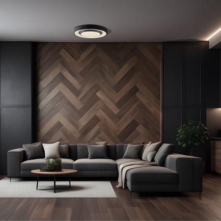 Stropní svítidlo LED Plafond 48W 5300lm CCT 120° White Black IP44 Pilot Dimmable Sigmund Sanico Goldlux