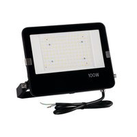 Halogenová LED lampa 100W 14000lm 4000K neutrální 110° IP65 IK08 černá FL Kanlux