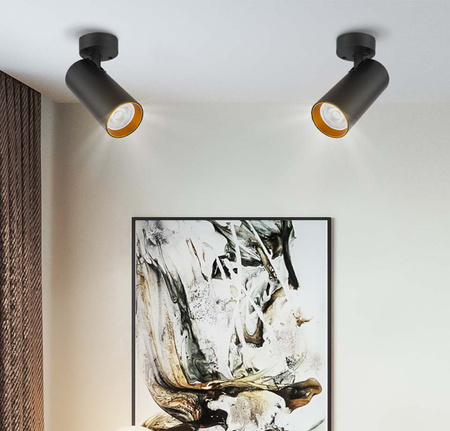 Stropní svítidlo ERIS SPOT. reflektor. halogenová žárovka GU10. černá a zlatá