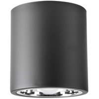 Kulaté přisazené stropní svítidlo JUPITER 13 C GOLDLUX (Polux) DOWNLIGHT E27