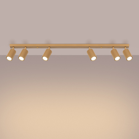 Bodové reflektorové stropní svítidlo Tuba 6x GU10 Gold Carbon Deep Space SL.1566 Sollux