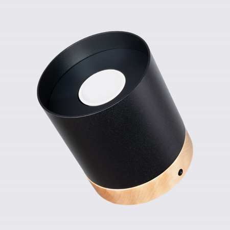 SOLLUX Stropní svítidlo pro povrchovou montáž RIF GU10 Černá skandinávská trubice