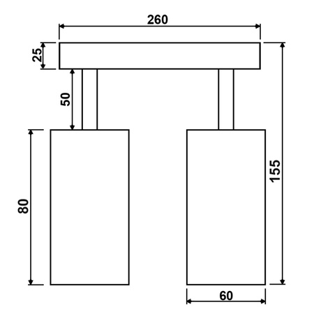 Stropní reflektorové nástěnné svítidlo 2xGU10 QUANTUS White