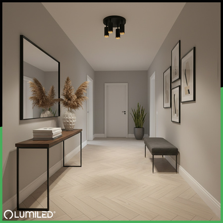 Reflektorové stropní svítidlo 4x GU10 Plafond ELIGIS Black LUMILED