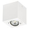 Spot Reflector Stropní svítidlo Square GU10 White Spot Surface Ledvance