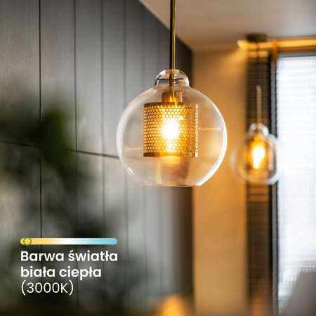 6x LED žárovka E27 A60 4W = 60W 840lm 3000K Warm 360° FILAMENT LUMILED