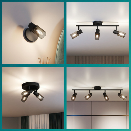 Reflektorové stropní svítidlo 2x E14 Black Palms Philips