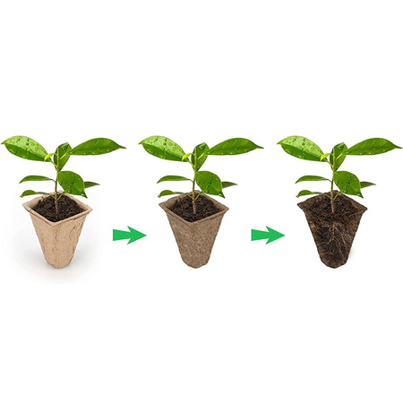 10x rašelinová paleta 3x4 15.5 x 11.5 cm pro výsev sazenic Prošívání Biologicky rozložitelný čtverec