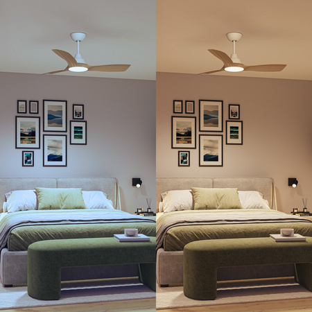 Stropní ventilátor 28W LED stropní svítidlo 24W 2650lm 3000/4300/6500K CCT Brown White + Pilot Olas Philips