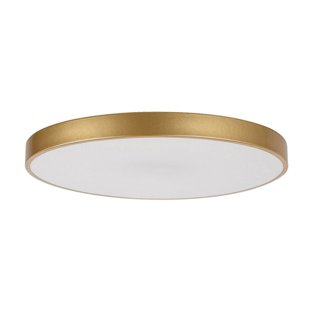 Plafond LED stropní světlo Povrchová montáž 60W CCT Stmívatelný časovač Pilot Gold Moderní Tesia Rabalux