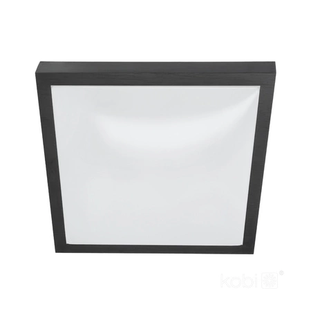 Plafond LED stropní svítidlo SAMIRA S 2x E27 30cm IP20 Black KOBI