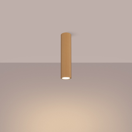 Stropní svítidlo Tuba Spot GU10 Gold Carbon Deep Space SL.1551 Sollux