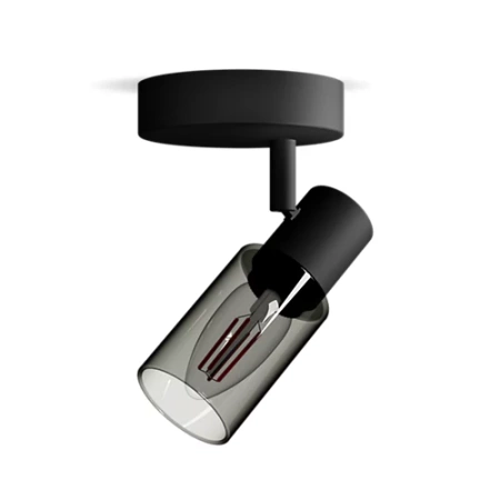 Nástěnné svítidlo Nástěnné svítidlo E14 Black Palms Philips