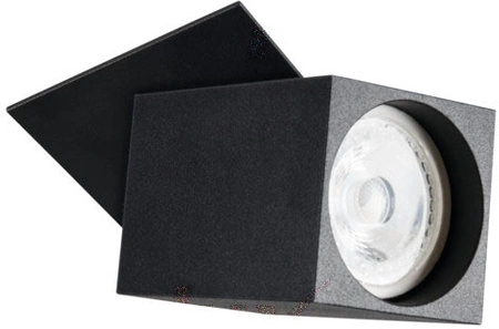 Stropní svítidlo Spot Tuba LED Halogen GU10 Adjustable Square Black Chiro Kanlux