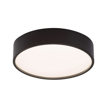 Plafond LED stropní svítidlo Povrchová montáž 19W s pohybovým a soumrakovým senzorem Černá Moderní Larcia Rabalux
