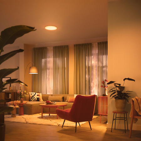 Stropní svítidlo LED Plafond 24W 2700-6500K stmívatelné CCT 38cm IZSO + PHILIPS PILOT