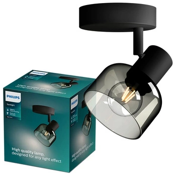Nástěnné svítidlo E14 LED Black Sleet Philips