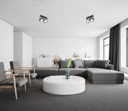 Stropní svítidlo Nástěnné svítidlo LEON 2x ES111 Posuvné černé