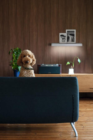 Nástěnné svítidlo LED Osvětlená police 6,5W 550lm IP44 3000K Teplé lineární Ledvance