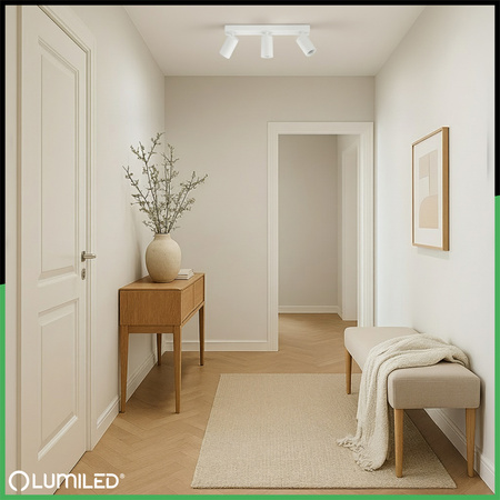 Stropní svítidlo SPOT TUBA Reflektor Halogenové svítidlo 3x GU10 TABULA LUMILED