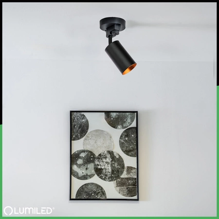 LUMILED HUMA RAIL KIT BLACK + SAGI RAIL SPOTLIGHT BLACK AND GOLD