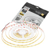 Venkovní LED pásek 5W 475lm 4000K Neutral 1600LED 12V 5m IP65 CRI90 Tramo Premium Kobi