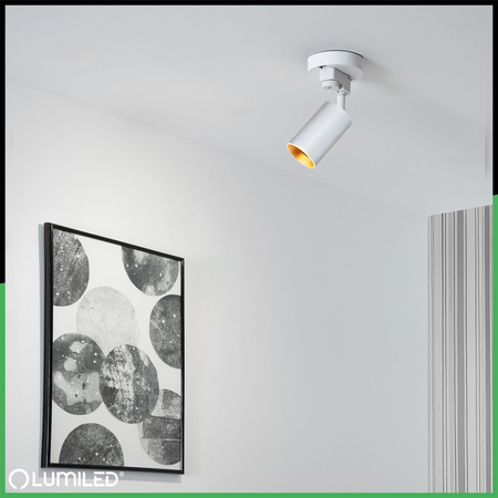 LUMILED HUMA RAIL SET WHITE + SAGI RAIL SPOTLIGHT WHITE-GOLD