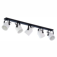 SPECTRA BLACK/WHITE Bodové stropní svítidlo pro povrchovou montáž černá/bílá Moderní 5xE27 3469 TK Lighting