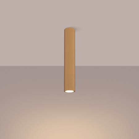 Stropní svítidlo Tuba Spot GU10 Gold Carbon Deep Space SL.1552 Sollux