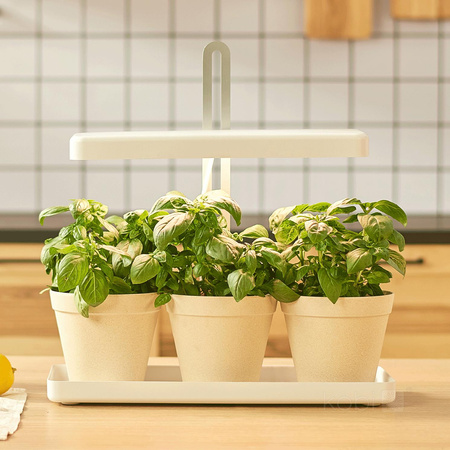 LED lampa pro podporu růstu rostlin 20W 1200lm 3000K teplá bílá 110° bílá Bloom Kobi