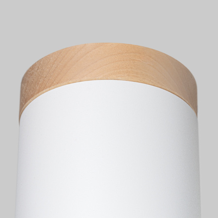 Stropní svítidlo pro povrchovou montáž RIF GU10 Bílá trubice Skandinávské SOLLUX