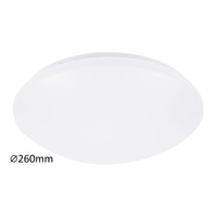 Plafond LED stropní svítidlo pro povrchovou montáž 12W 900lm 4000K bílá Industrial Lucas Rabalux